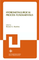 Renato G Bautista, Renato G. Bautista, Springer - Hydrometallurgical Process Fundamentals