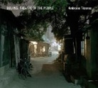 Ambroise Tenezas, Ambroise Tezenas, Ambroise Zachmann Tezenas, Patrick Zachmann - Beijing: Theatre of the People