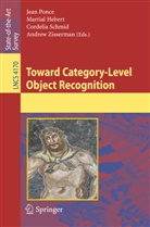 Martia Hebert, Martial Hebert, Jean Ponce, Cordelia Schmid, Cordelia Schmid et al, Andrew Zisserman - Toward Category-Level Object Recognition