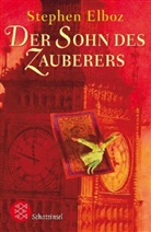 Stephen Elboz - Der Sohn des Zauberers
