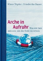 Friederike Bauer, Klaus Töpfer, Jörg Hülsmann - Arche in Aufruhr