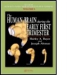 Joseph Altman, Joseph (Indianapolis Altman, Altman Joseph, Shirley A. Bayer, Shirley A. (Indianapolis Bayer, Shirley A. Altman Bayer... - Human Brain During the Early First Trimester