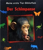 Stéphane Frattini - Meine erste Tier-Bibliothek: Der Schimpanse