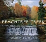 David Kaufman, David R Kaufman, David R. Kaufman - Peachtree Creek