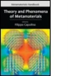 Filippo Capolino, Filippo (University of California Capolino, Capolino Filippo, Filippo Capolino - Theory and Phenomena of Metamaterials