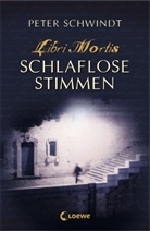 Peter Schwindt - Schlaflose Stimmen (Band 2)