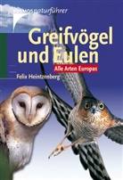 Felix Heintzenberg - Greifvögel und Eulen