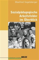 Manfred Vogelsberger - Sozialpädagogische Arbeitsfelder im Überblick