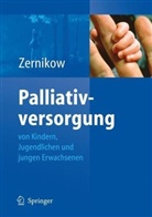Boris Zernikow - Palliativversorgung von Kindern, Jugendlichen und jungen Erwachsenen