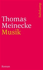 Thomas Meinecke - Musik