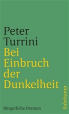 Peter Turrini, Silk Hassler, Silke Hassler - Bei Einbruch der Dunkelheit. Die Bürger. Gott im Wienerwald