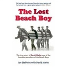 Jon Stebbins - Lost Beach Boy