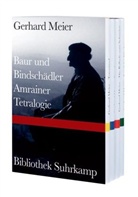 Gerhard Meier - Baur und Bindschädler