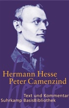 Hermann Hesse, Heriber Kuhn, Heribert Kuhn - Peter Camenzind