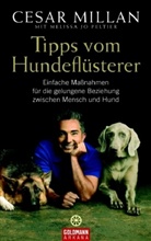 Cesar Millan - Tipps vom Hundeflüsterer