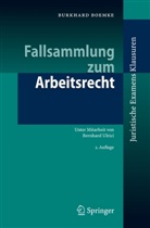 Burkhard Boemke - Fallsammlung zum Arbeitsrecht