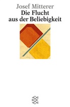 Josef Mitterer - Die Flucht aus der Beliebigkeit
