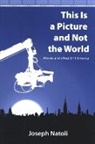 Joseph Natoli - This Is a Picture and Not the World