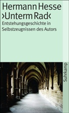 Hermann Hesse, Volke Michels, Volker Michels - Hermann Hesse 'Unterm Rad'