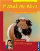 Angela Beck - Meerschweinchen