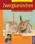 Angela Beck - Zwergkaninchen