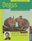 Michael Mettler - Degus