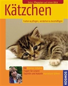 Hannelore Grimm - Kätzchen