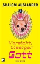 Shalom Auslander - Vorsicht, bissiger Gott
