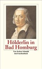 Jochen Schmidt - Hölderlin in Bad Homburg