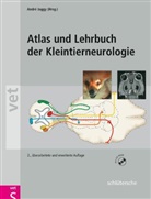 Andr Jaggy, André Jaggy - Atlas und Lehrbuch der Kleintierneurologie, m. CD-ROM