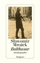 Slawomir Mrozek - Balthasar