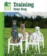 Dominique De Vito, Dominique De Vito - Training Your Dog