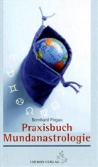 Bernd Firgau, Bernhard Firgau - Praxisbuch Mundanastrologie