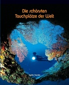 Amsle, Bir, Cole u a, Egidi Trainito, Egidio Trainito - Die schönsten Tauchplätze der Welt