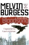 Melvin Burgess - Bloodsong