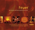 Rudolf Treumann - Feuer
