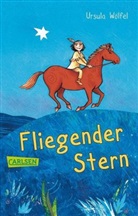 Ursula Wölfel, Bettina Wölfel - Fliegender Stern