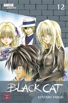 Kentaro Yabuki - Black Cat. Bd.12