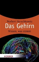 Norbert Herschkowitz - Das Gehirn