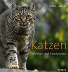 Max Galli, Max Galli, Wolf Forster, Norbert Lechleitner - Katzen