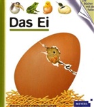 René Mettler - Das Ei