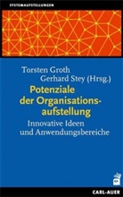 Torsten Groth, Gerhard Stey - Potenziale der Organisationsaufstellung