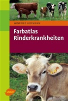 Winfried Hofmann - Rinderkrankheiten