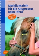 Lisbeth Traffelet - Meridiantafeln für die Akupressur beim Pferd