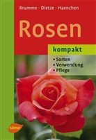 Hell Brumme, Hella Brumme, Pete Dietze, Peter Dietze, Eckart Haenchen - Rosen kompakt