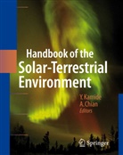 C -L Chian, C -L Chian, A. Chian, Abraham C. -L. Chian, Abraham C.-L. Chian, Y. Kamide... - Handbook of the Solar-Terrestrial Environment