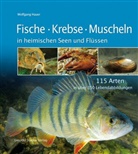 Wolfgang Hauer - Fische, Krebse und Muscheln in heimischen Seen und Flüssen