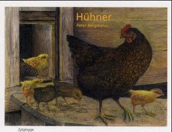 Peter Bergmann - Hühner Bilderbuch