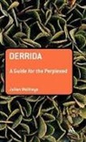 Julian Wolfreys - Derrida: A Guide for the Perplexed