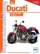Thomas Jung - Ducati M 600/750/900 Monster (ab Modelljahr 1993)